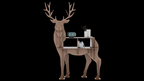 Deer Showcase