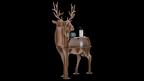Deer Showcase
