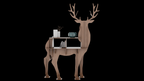 Deer Showcase