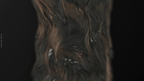 Abstract Cloth Simulation